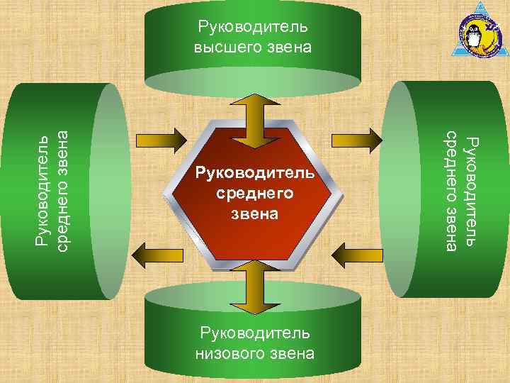 Руководитель среднего звена Руководитель низового звена Руководитель среднего звена Руководитель высшего звена 