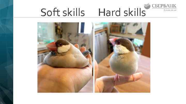 Soft skills Hard skills 