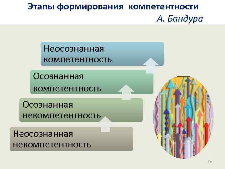Этапы формирования компетентности А. Бандура Неосознанная компетентность Осознанная некомпетентность Неосознанная некомпетентность 28 