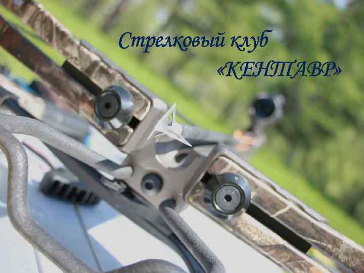 Стрелковый клуб «КЕНТАВР» 