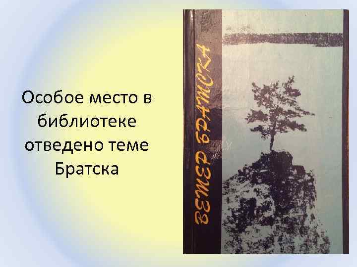 Особое место в библиотеке отведено теме Братска 