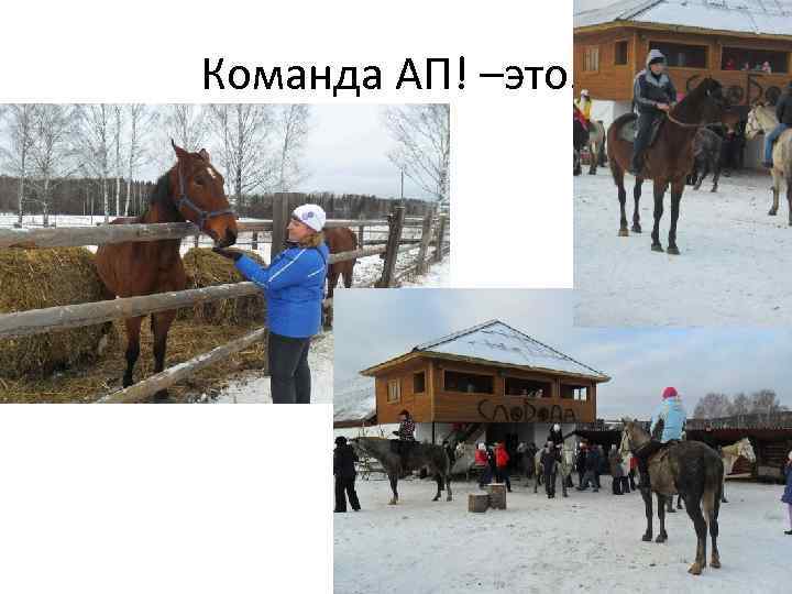  Команда АП! –это… 