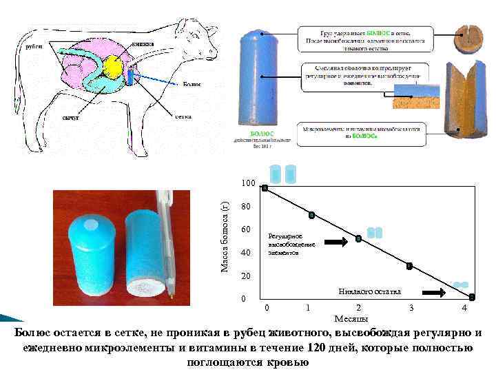 Масса болюса (г) 100 80 60 40 Регулярное высвобождение элементов 20 0 Никакого остатка