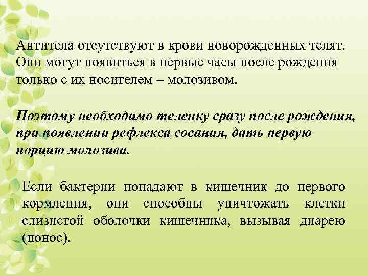 Антитела отсутствуют в крови новорожденных телят. Они могут появиться в первые часы после рождения