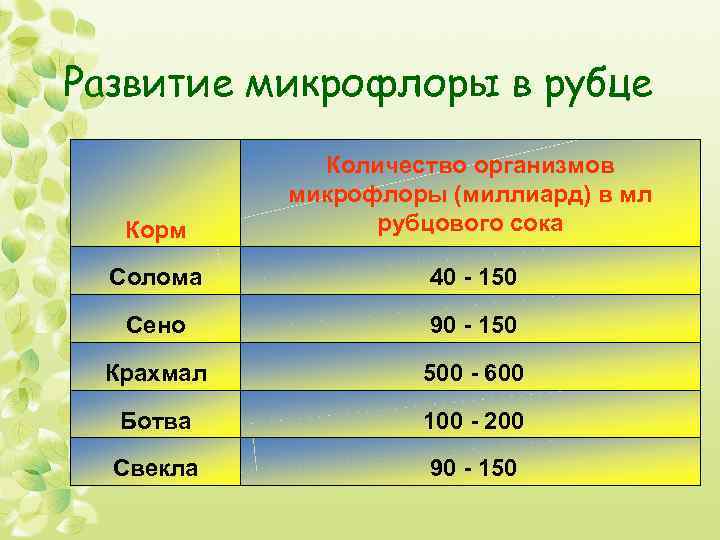 Развитие микрофлоры в рубце Корм Количество организмов микрофлоры (миллиард) в мл рубцового сока Солома