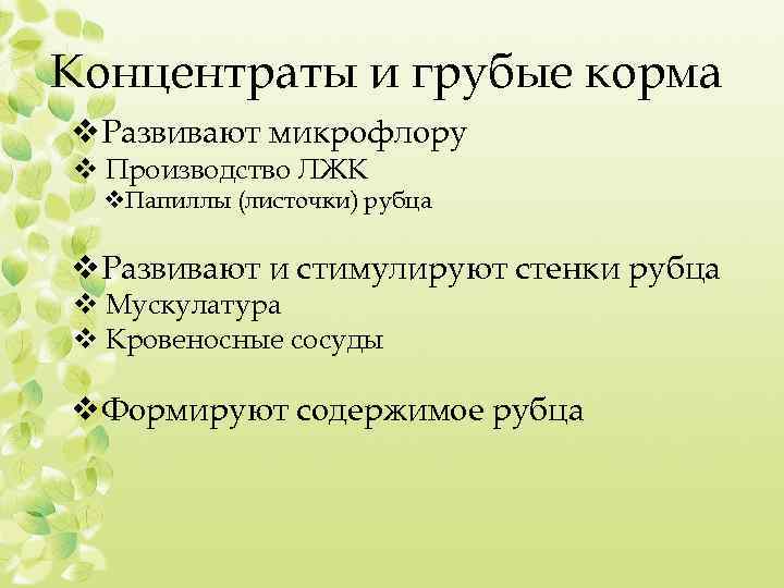 Концентраты и грубые корма v. Развивают микрофлору v Производство ЛЖК v. Папиллы (листочки) рубца