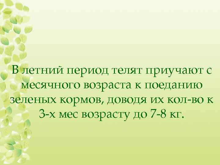 В летний период телят приучают с месячного возраста к поеданию зеленых кормов, доводя их