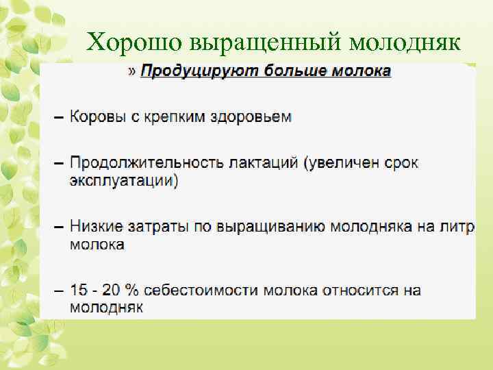 Хорошо выращенный молодняк 