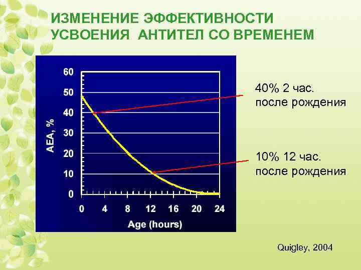 ИЗМЕНЕНИЕ ЭФФЕКТИВНОСТИ УСВОЕНИЯ АНТИТЕЛ СО ВРЕМЕНЕМ 40% 2 час. после рождения 10% 12 час.