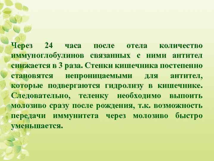 Через 24 часа после отела количество иммуноглобулинов связанных с ними антител снижается в 3