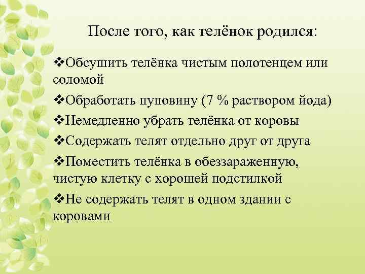 После того, как телёнок родился: v. Обсушить телёнка чистым полотенцем или соломой v. Обработать