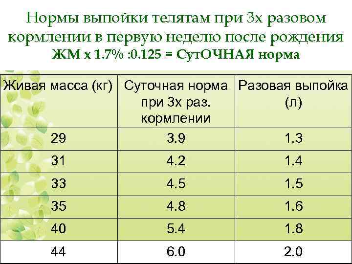 Схема кормления телят от 0 до 6 месяцев