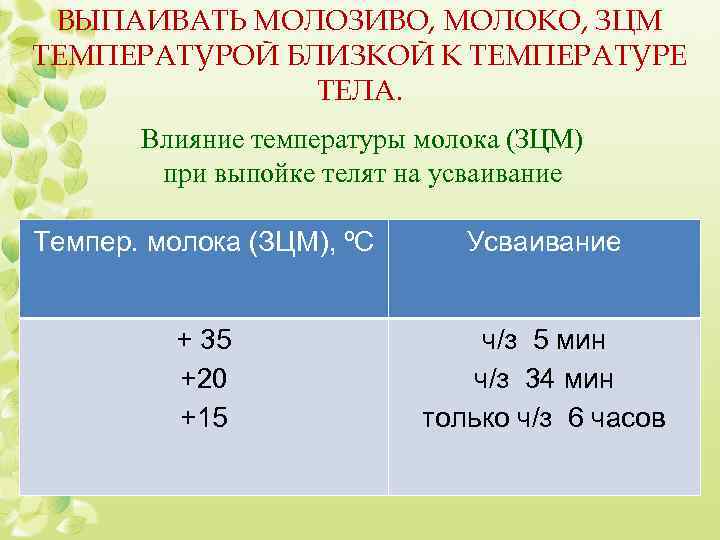 Схема кормления телят от 0 до 6 месяцев