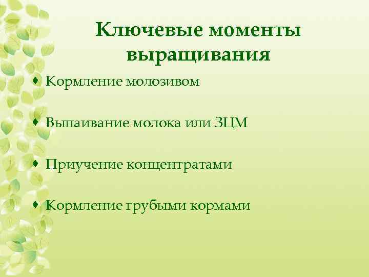Ключевые моменты выращивания · Кормление молозивом · Выпаивание молока или ЗЦМ · Приучение концентратами