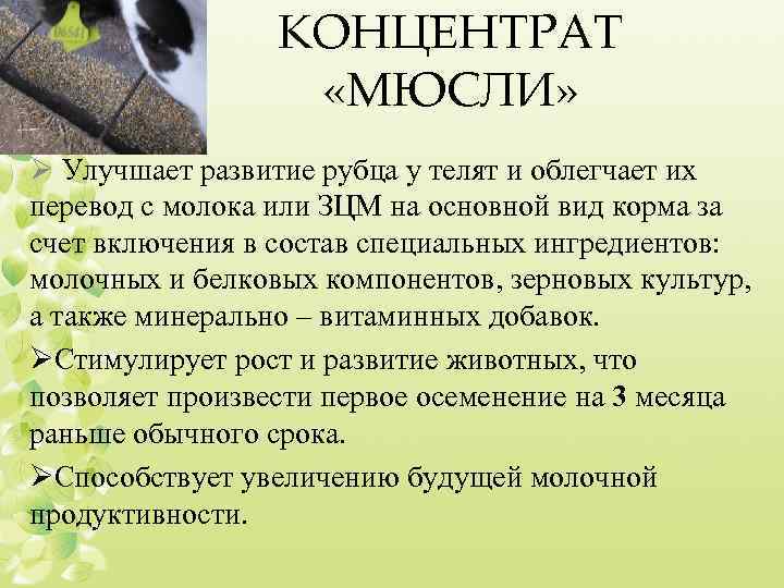 КОНЦЕНТРАТ «МЮСЛИ» Ø Улучшает развитие рубца у телят и облегчает их перевод с молока