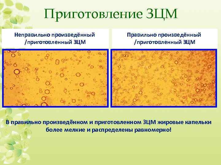 Приготовление ЗЦМ Неправильно произведённый /приготовленный ЗЦМ Правильно произведённый /приготовленный ЗЦМ В правильно произведённом и