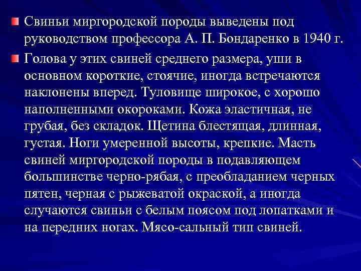 Свиньи миргородской породы выведены под руководством профессора А. П. Бондаренко в 1940 г. Голова