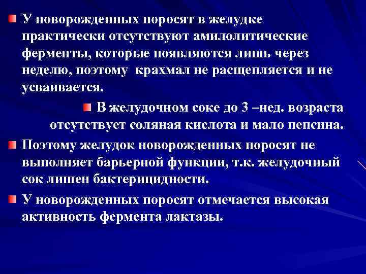 У новорожденных поросят в желудке практически отсутствуют амилолитические ферменты, которые появляются лишь через неделю,