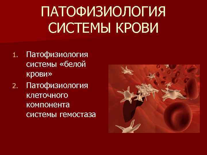 ПАТОФИЗИОЛОГИЯ СИСТЕМЫ КРОВИ Патофизиология системы «белой крови» 2. Патофизиология клеточного компонента системы гемостаза 1.