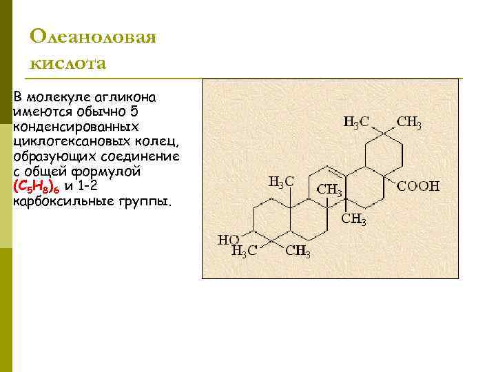 Олеаноловая кислота В молекуле агликона имеются обычно 5 конденсированных циклогексановых колец, образующих соединение с