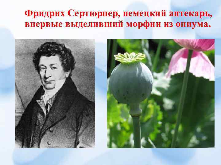 Фридрих Сертюрнер, немецкий аптекарь, впервые выделивший морфин из опиума. 