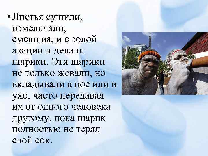 • Листья сушили, измельчали, смешивали с золой акации и делали шарики. Эти шарики