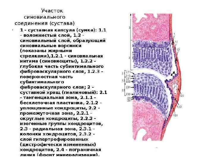 Стол при болезни суставов