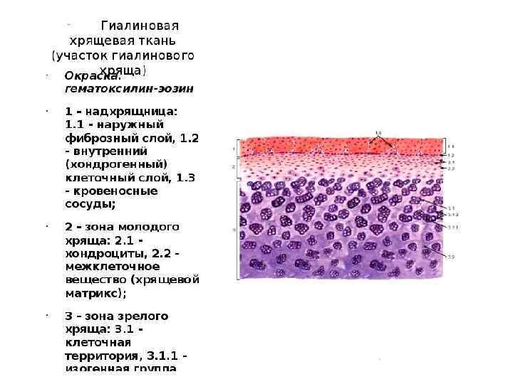 Стол при болезни суставов