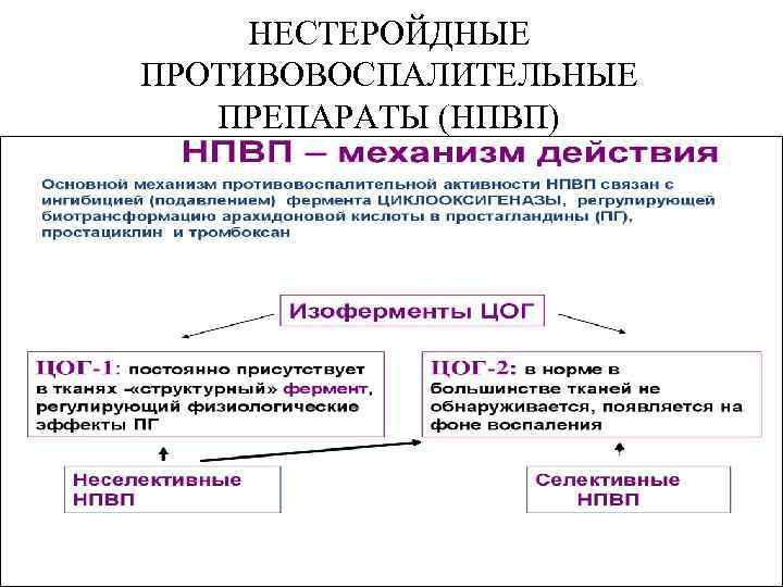 НЕСТЕРОЙДНЫЕ ПРОТИВОВОСПАЛИТЕЛЬНЫЕ ПРЕПАРАТЫ (НПВП) 