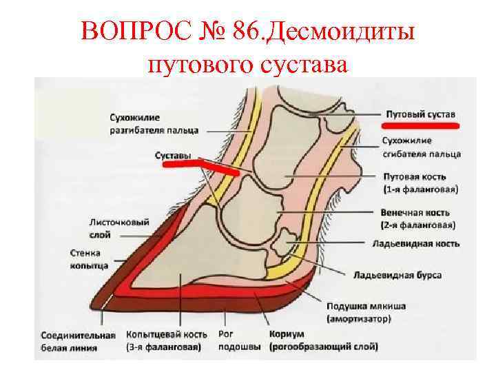 Стол при болезни суставов