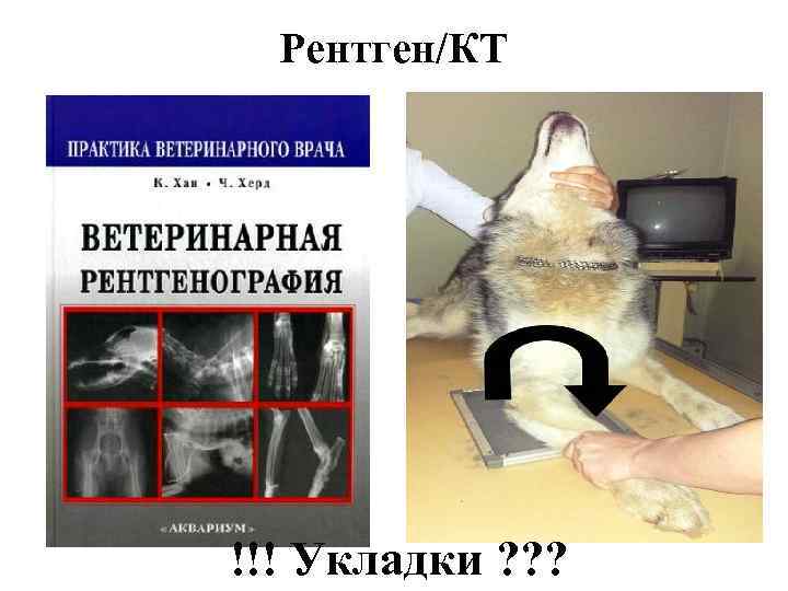 Рентген/КТ !!! Укладки ? ? ? 