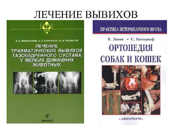 ЛЕЧЕНИЕ ВЫВИХОВ 