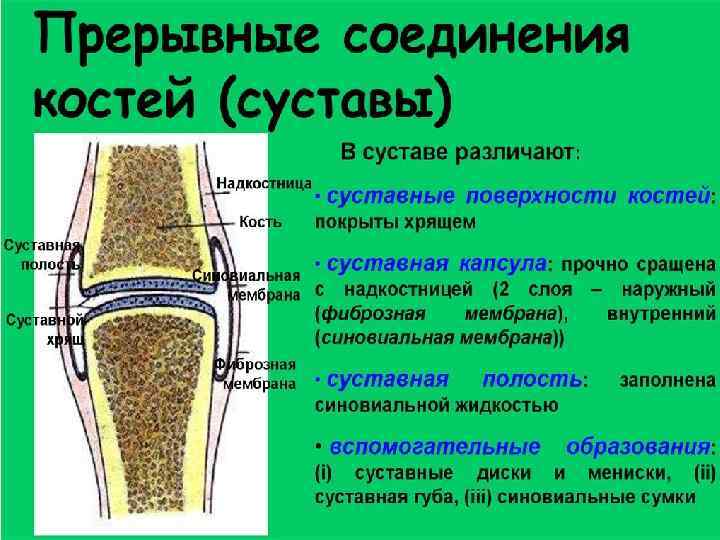 Стол при болезни суставов