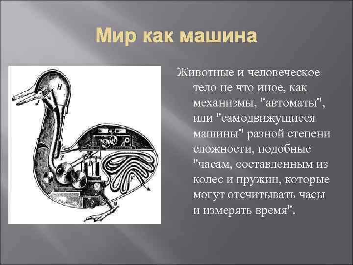 Мир как машина Животные и человеческое тело не что иное, как механизмы, 