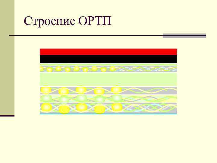 Строение ОРТП 