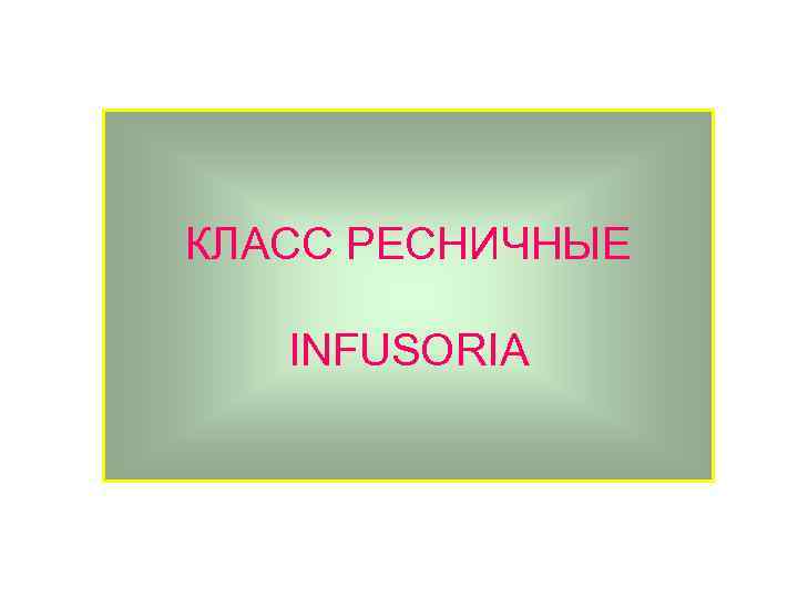 КЛАСС РЕСНИЧНЫЕ INFUSORIA 