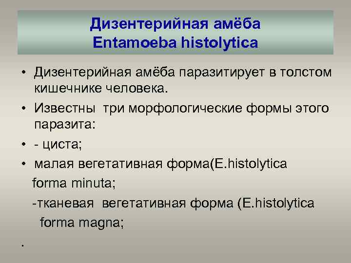 Дизентерийная амёба Entamoeba histolytica • Дизентерийная амёба паразитирует в толстом кишечнике человека. • Известны