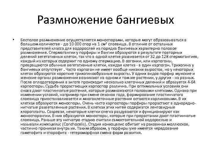 Размножение бангиевых • Бесполое размножение осуществляется моноспорами, которые могут образовываться в большом количестве -
