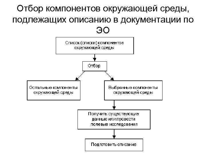 Отбор компонентов окружающей среды, подлежащих описанию в документации по ЭО 