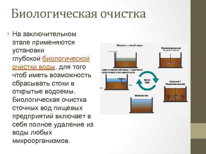 Очистка сточных вод презентация