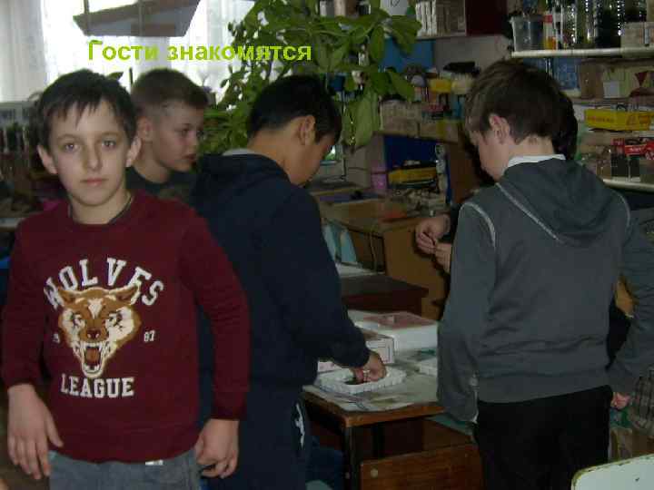 Гости знакомятся 