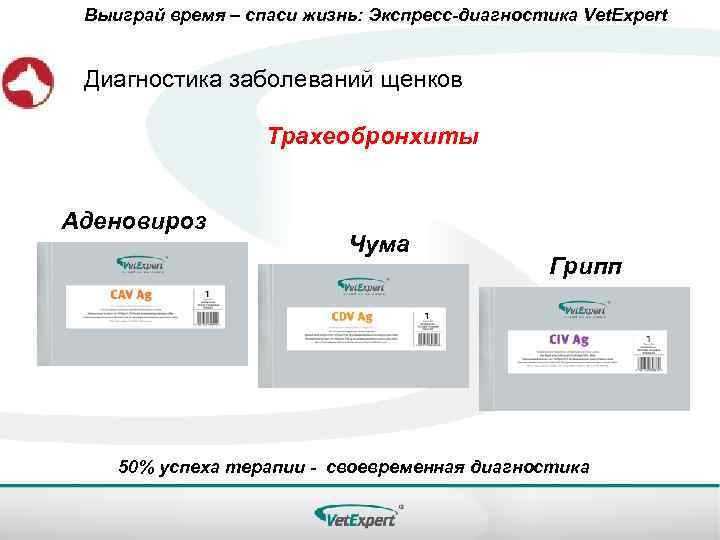Выиграй время – спаси жизнь: Экспресс-диагностика Vet. Expert Диагностика заболеваний щенков Трахеобронхиты Аденовироз Чума