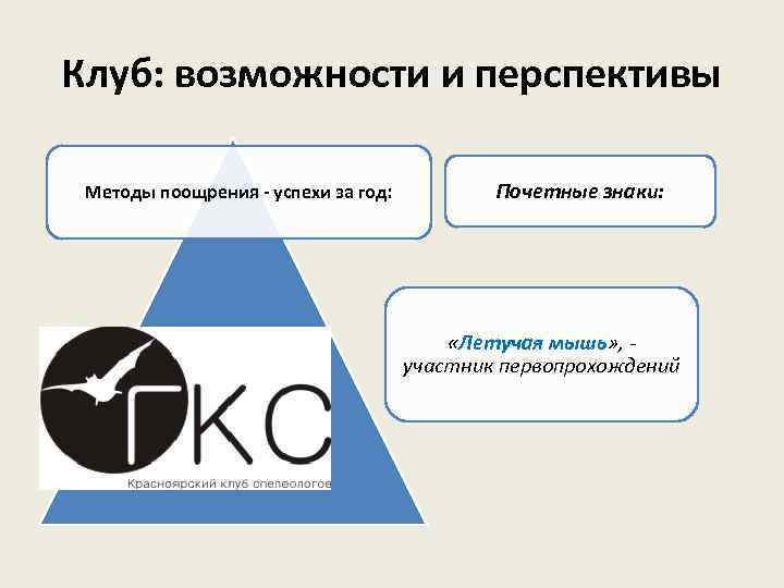 Клуб: возможности и перспективы Методы поощрения - успехи за год: Почетные знаки: «Летучая мышь»