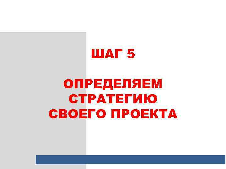 ШАГ 5 ОПРЕДЕЛЯЕМ СТРАТЕГИЮ СВОЕГО ПРОЕКТА 