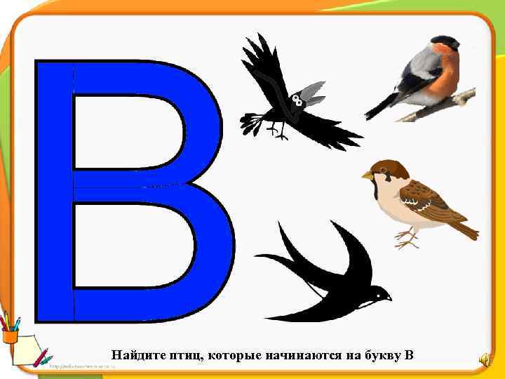 Найдите птиц, которые начинаются на букву В 
