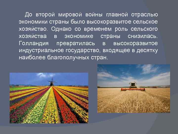 До второй мировой войны главной отраслью экономики страны было высокоразвитое сельское хозяйство. Однако со