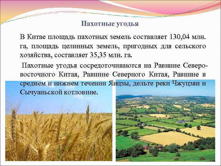 Пахотные угодья В Китае площадь пахотных земель составляет 130, 04 млн. га, площадь целинных