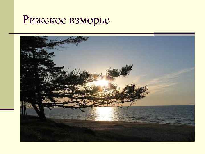 Рижское взморье 