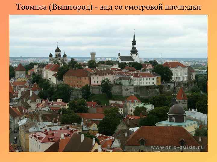 Тоомпеа (Вышгород) - вид со смотровой площадки 