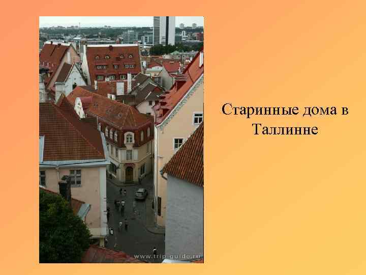 Старинные дома в Таллинне 